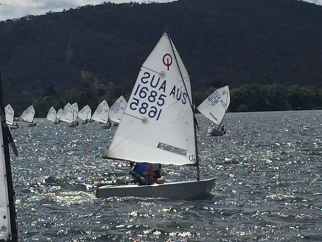 Day 1 Open fleet Leader Finley Scade - Capital Insurance ACT Optimist Championships Day 1 © Matt Owen